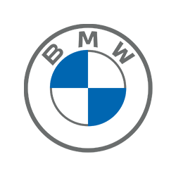 BMW AVS